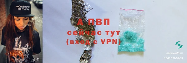 мяу мяу мука Белокуриха