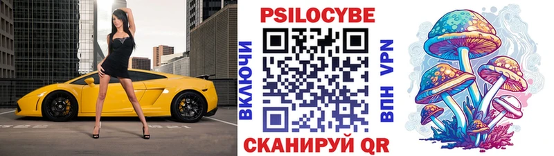 shop состав  omg онион  Кудымкар  Псилоцибиновые грибы Cubensis 