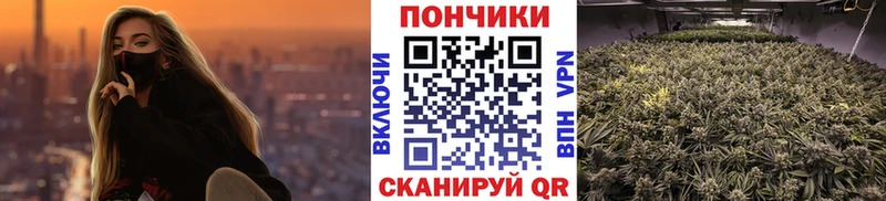 Шишки марихуана MAZAR  Кудымкар 